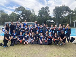 Divisional Swimming Success